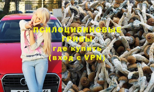 дурь Армянск