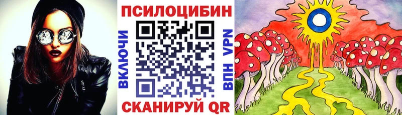 Галлюциногенные грибы Cubensis Осинники